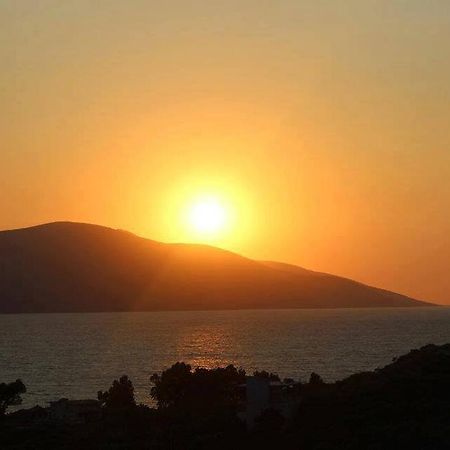 Residence Jazoj فلورا المظهر الخارجي الصورة